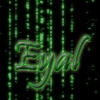   EYAL309